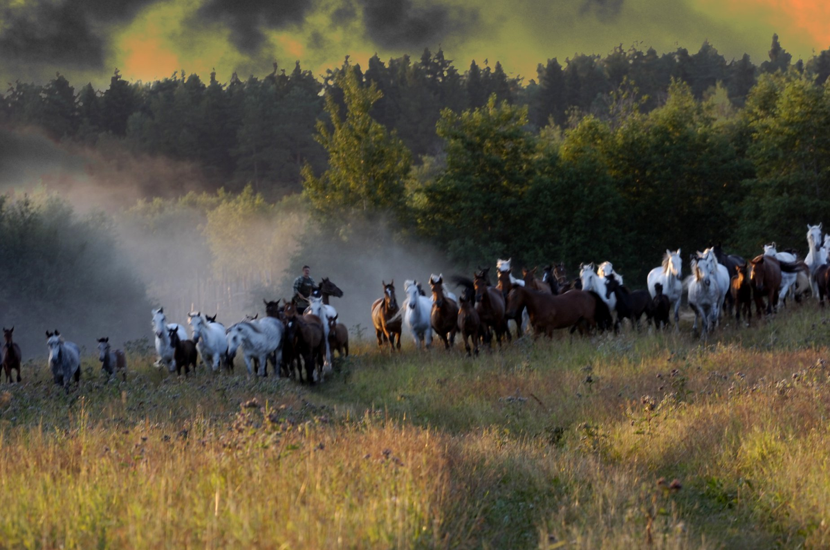 Такую фотографию сделал я в описанное мною утро. 