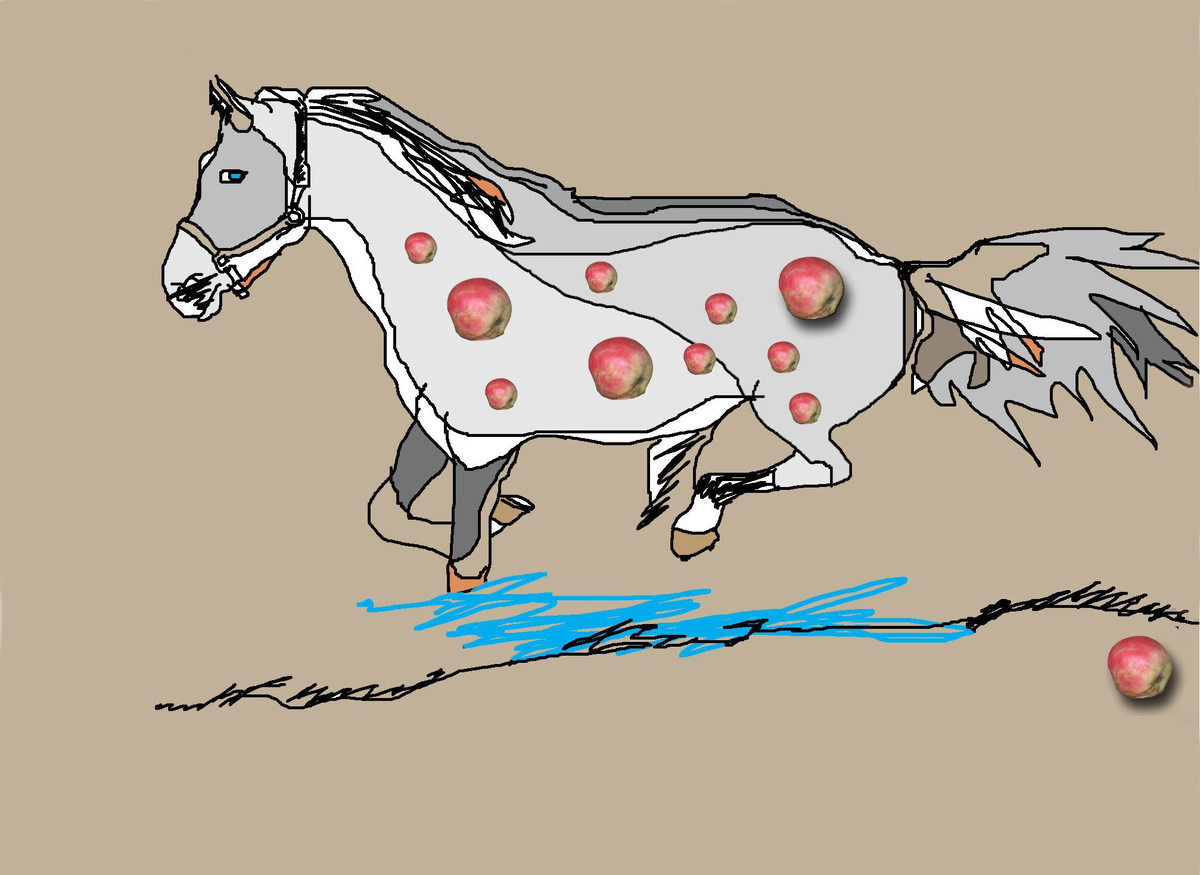 А рисунок тоже мой и означает он коня в яблоках...