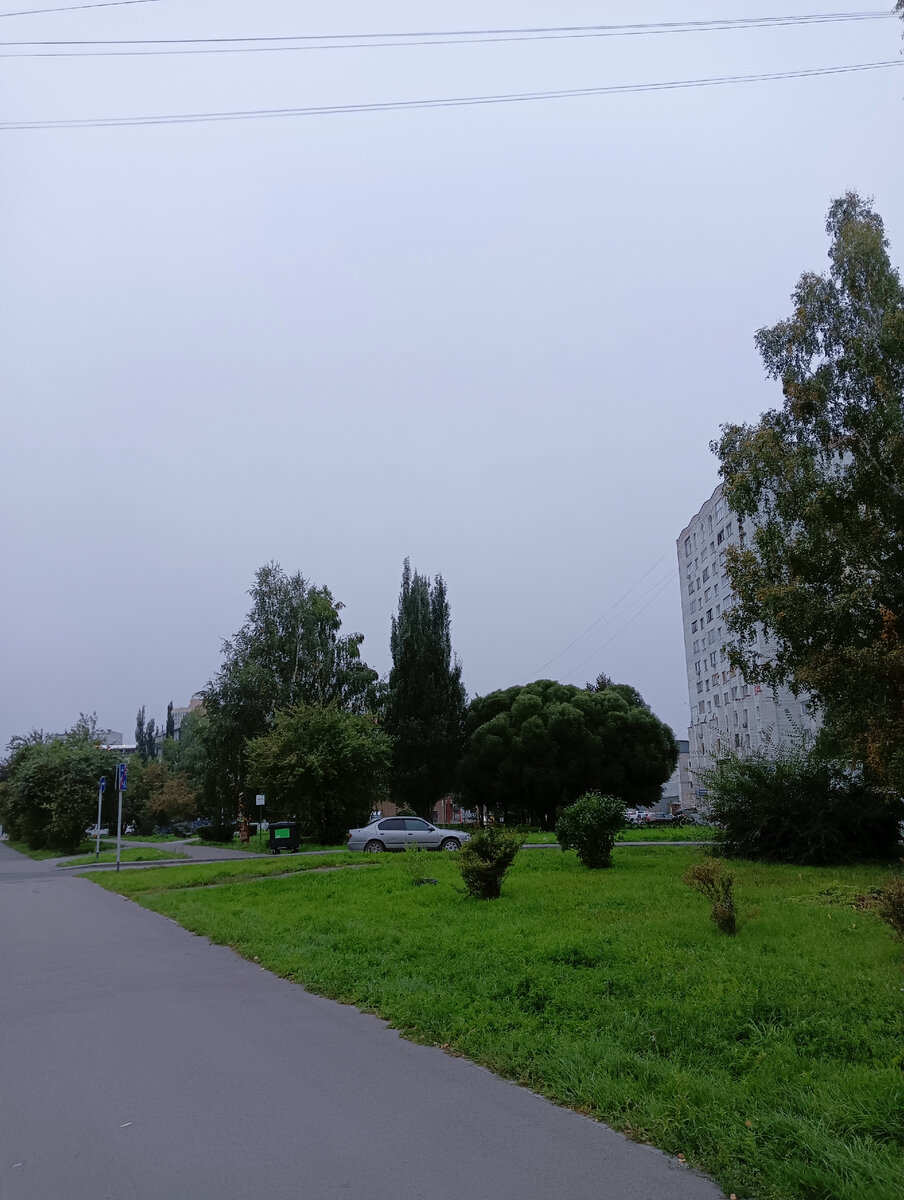 Утренний сентябрьский вид.