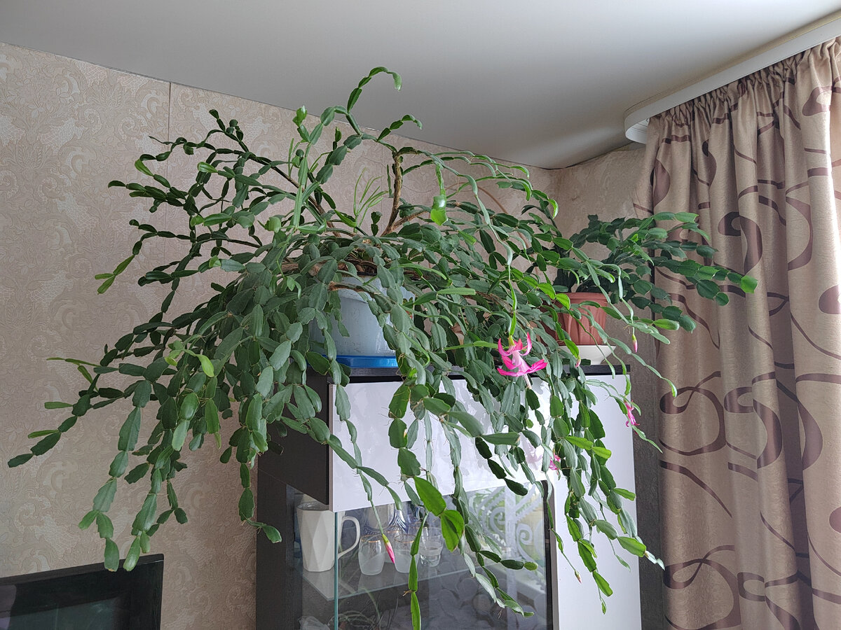 Фото автора канала.