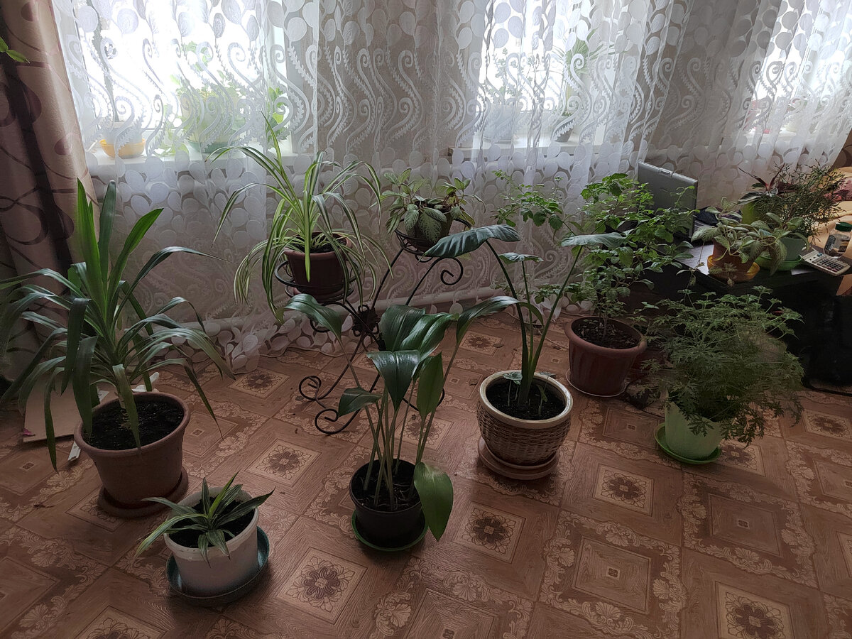 Фото автора канала.