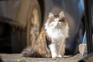    фото: freepik.com/wirestock Марина Черненкова