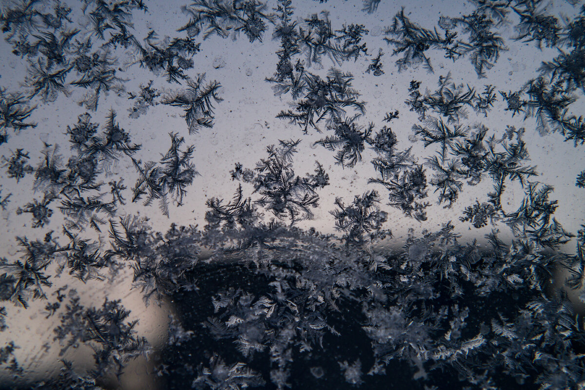 Panasonic Lumix GX1 Морзный узор на стекле 