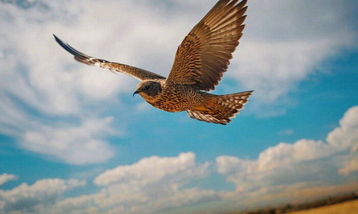 Изображение из открытого источника