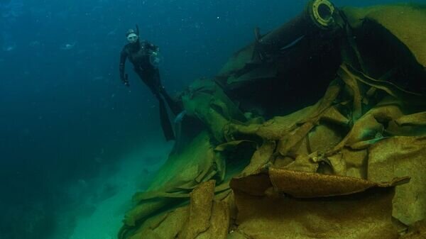    © Павел Терехов