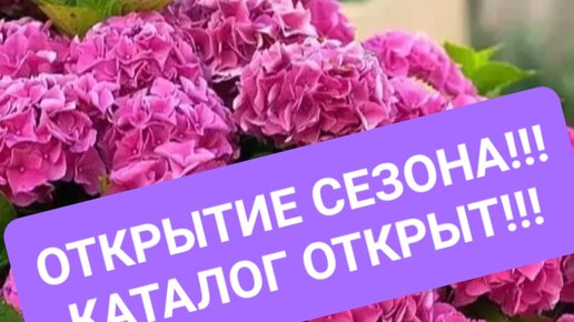 Открытие сезона! Каталог открыт!!!