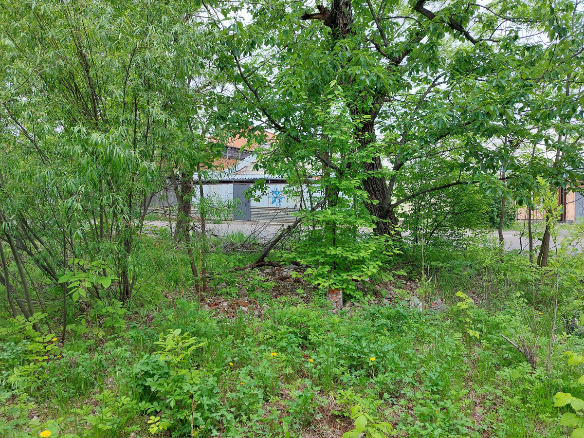 Пустырь на месте сада номер 99 (район Базы КАФ, Хабаровск).