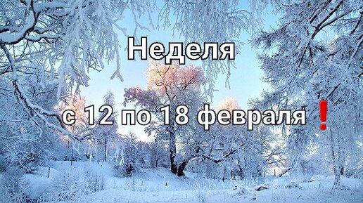 3 недели надпись. Week надпись. Week надпись. Week надпись. 3 weeks.