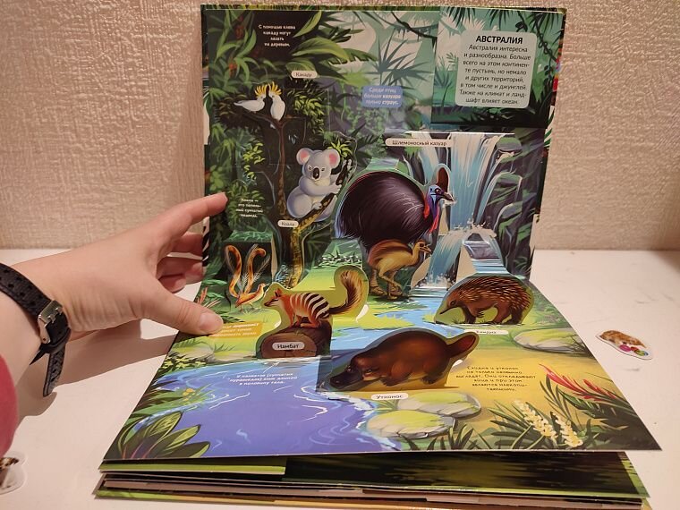 Венерина мухоловка 3 класс. Коралловые рифы мадагаскара. Разнообразные продукты. Zanzibar барьерный риф. Много профессий.