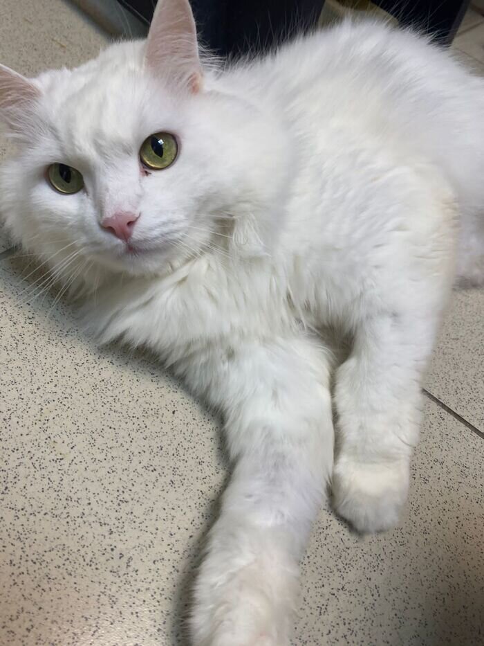 Проекты двухэтажных домов 120 квадратных метров. 4 уровня проектирования. Двухэтажный дом 120 м. Домики пикабу. Как проект дом каркасный рисуется.