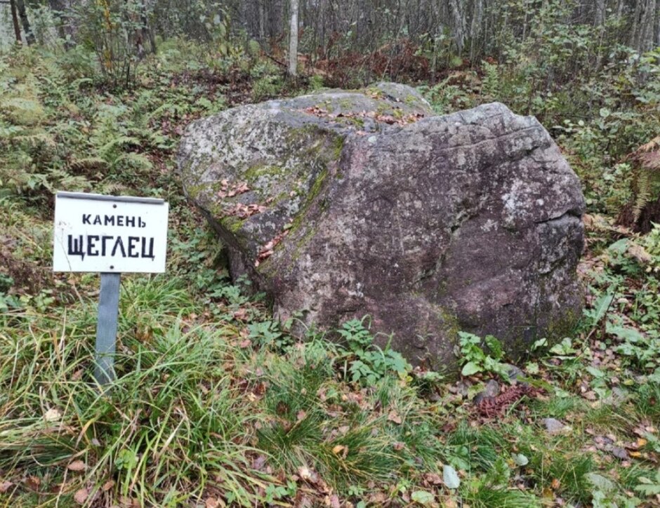 Камень ЩеглецКоординаты: 58.697222, 31.777222