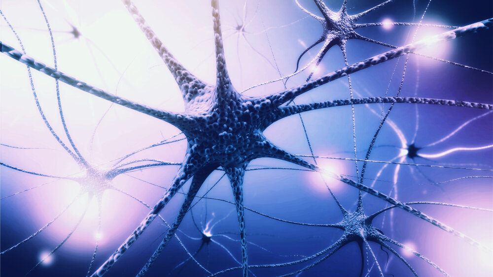    Фото: Shutterstock