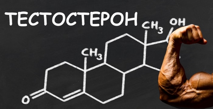 Тестостерон любовь. Тестостерон. Тестостерон картинки. Тестостерон и спорт. Тестостерон надпись.