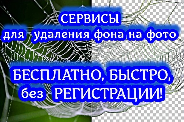 Вам нужно удалить фон на фото онлайн без регистрации, бесплатно, быстро и качественно?