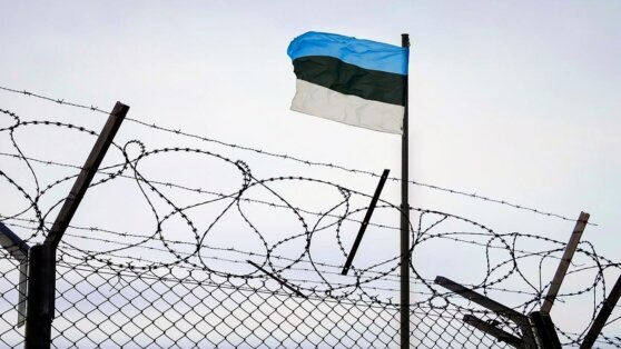    В Эстонии заявили, что продолжат строительство линии обороны на границе с РФ Алина Городниченко