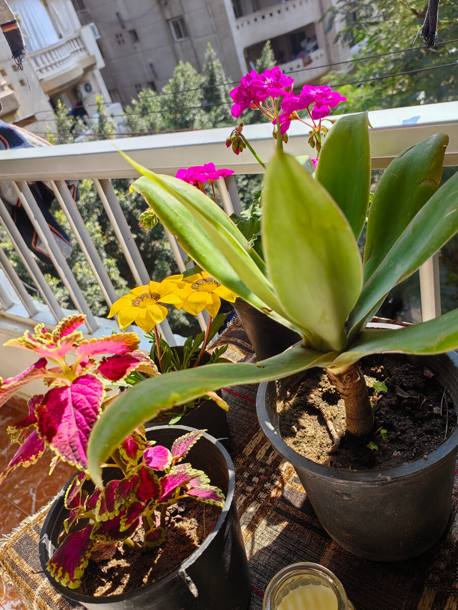 Замереть как пишется правильно. Собираться корень с чередованием. Запереть как пишется правильно. Как правильно запереть. Кредитная карта закрыта.