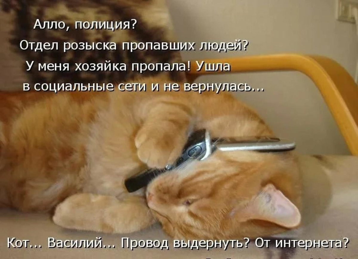 Замечательный лежать. Прикольные коты с надписями. Прикольные надписи с котиками. Котоматрица для поднятия настроения