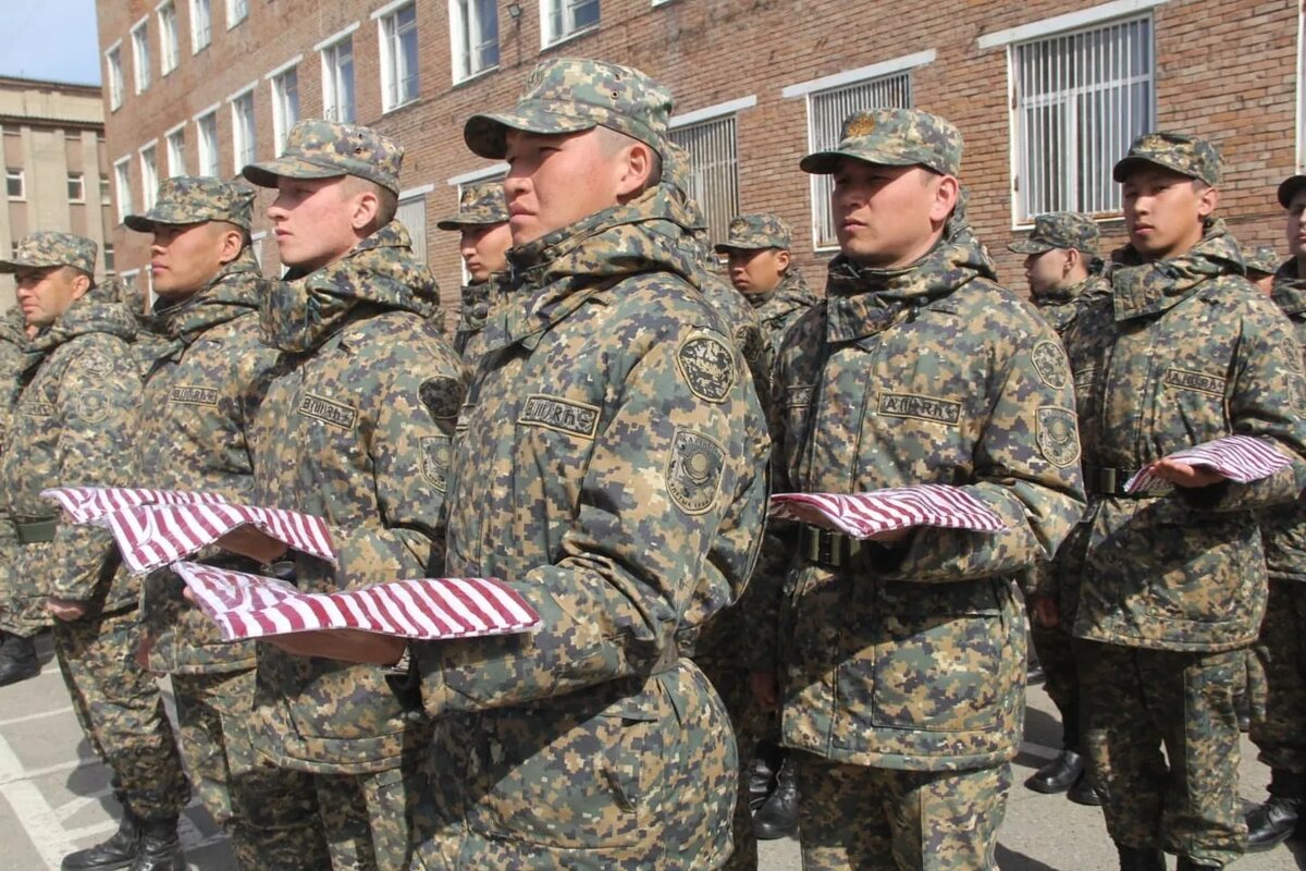 В КАКИХ АРМИЯХ МИРА ТЕЛЬНЯШКА ЯВЛЯЕТСЯ СИМВОЛОМ ВОЕННОЙ СЛУЖБЫ? | ОНЛАЙН  ШОППИНГ | Дзен