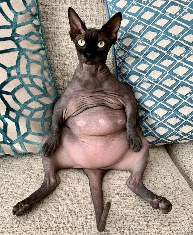 -2