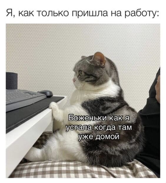 шутки про выходные. скоро выходные. смешные выходные. шутки про выходные. смешные выходные.