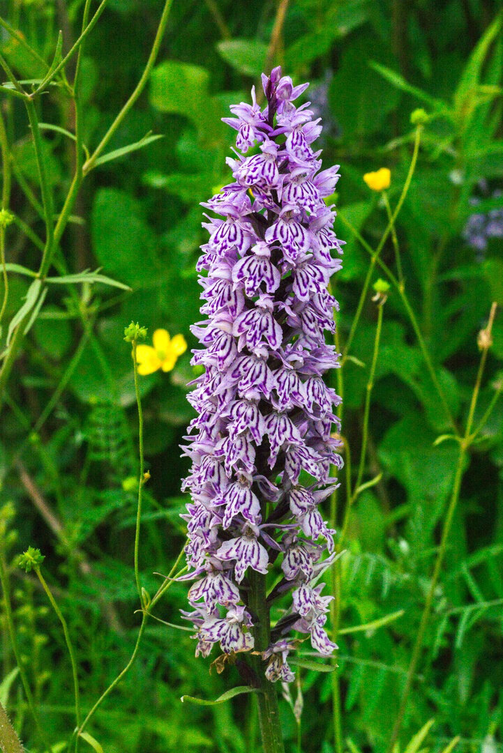 Фото: Андрей Ларин, Ирина Буторина📷
