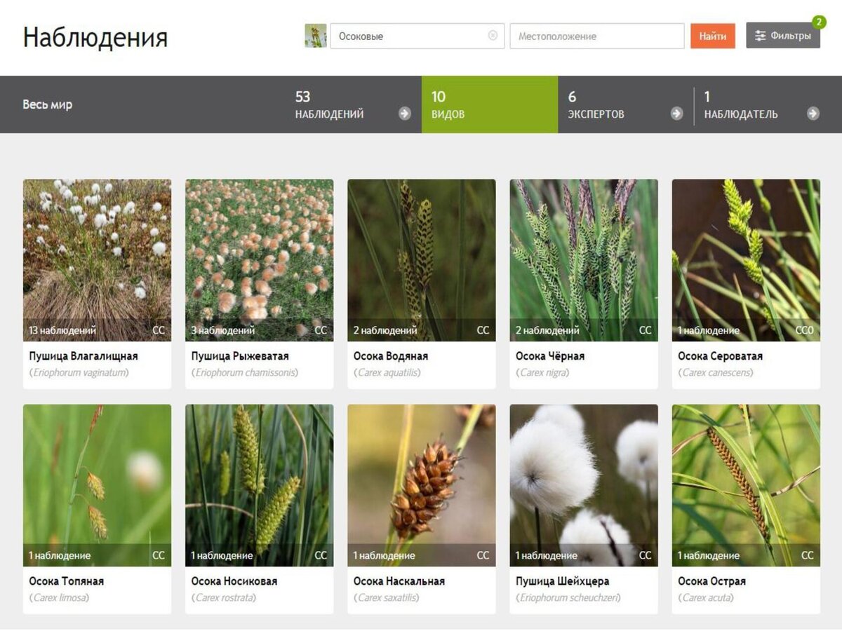 Фото: Андрей Ларин, Ирина Буторина📷
