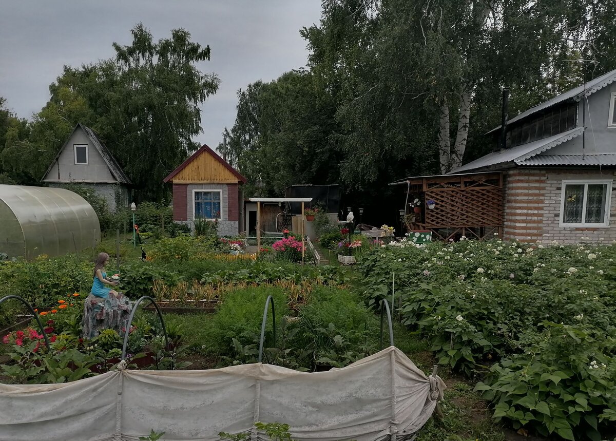 Как можно жить без унитаза на даче | Дачный дневник пенсионерки | Дзен