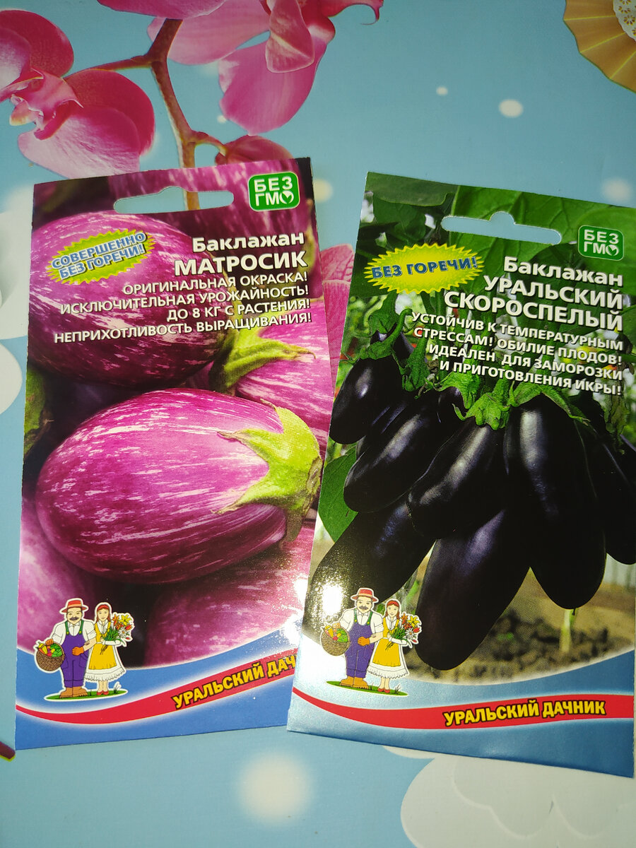 Мои баклажаны на этот год.