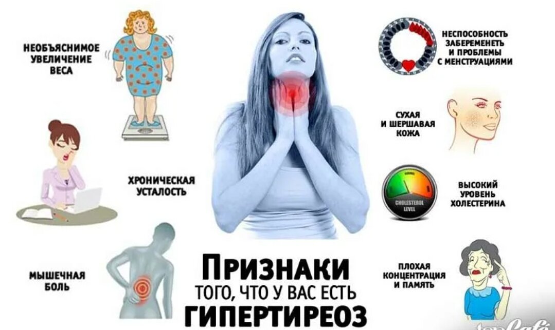 Психосоматика щитовидки. Профилактика гипотиреоза. Щитовидная железа инфографика. Профилактика гипертиреоза.