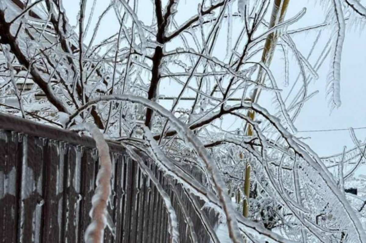    На юге Волгоградской области ввели режим ЧС из-за дождя и ветра