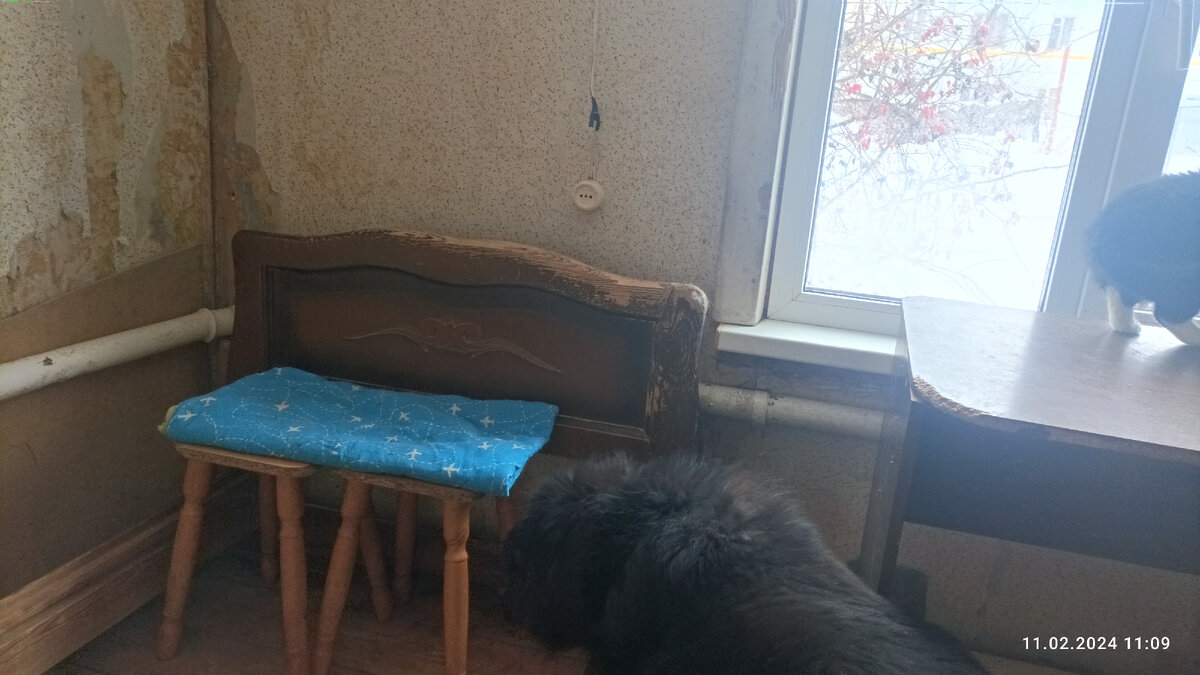 Любила сидеть на табуретках, когда я в этой комнате убираюсь. 