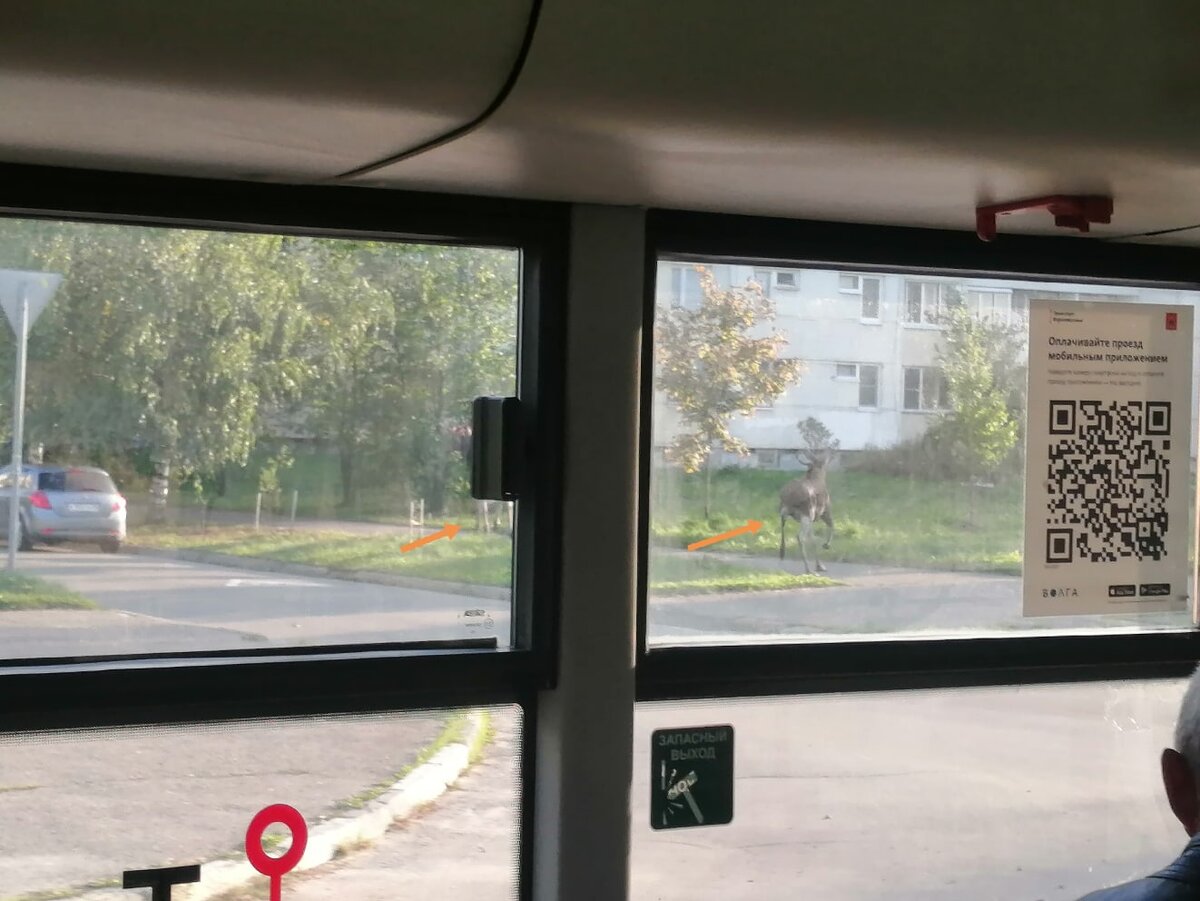 Фото из ВК