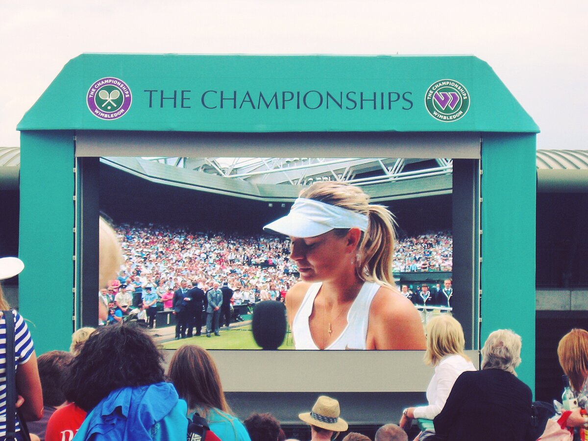 говорим правильно. как правильно языков или языков. индоевропейская языковая семья таблица. как правильно языков или языков. видение ударение.