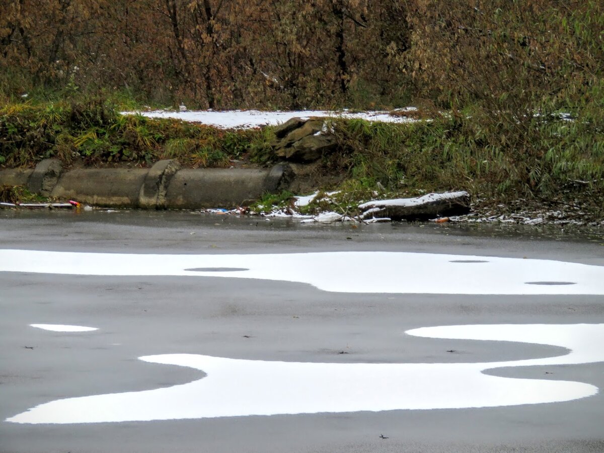 Озеро было засыпано ворохами желтых