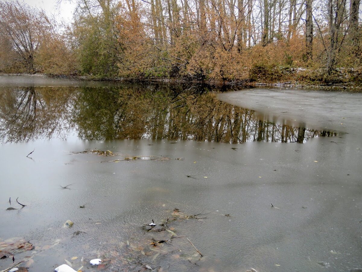 Озеро было засыпано ворохами желтых