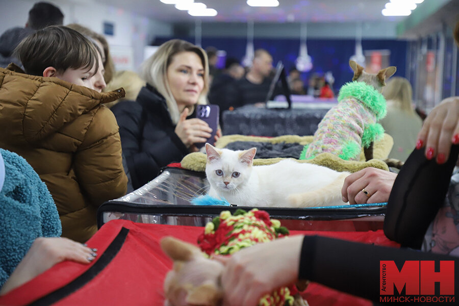 Как пройти котиков алабуга. Как пройти котиков алабуга. Как пройти котиков алабуга. Как пройти котиков алабуга. Схема оэз алабуга.