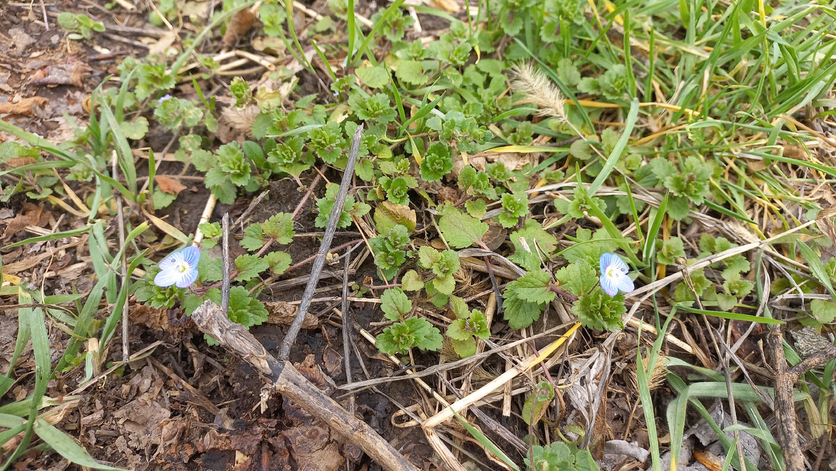 Это и другие фото в статье сделаны автором и принадлежат ему на условиях авторского права