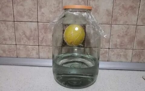 Висильник на ректификате.
