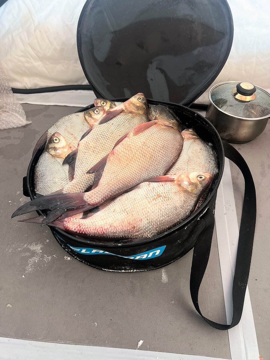 Fishing sleep