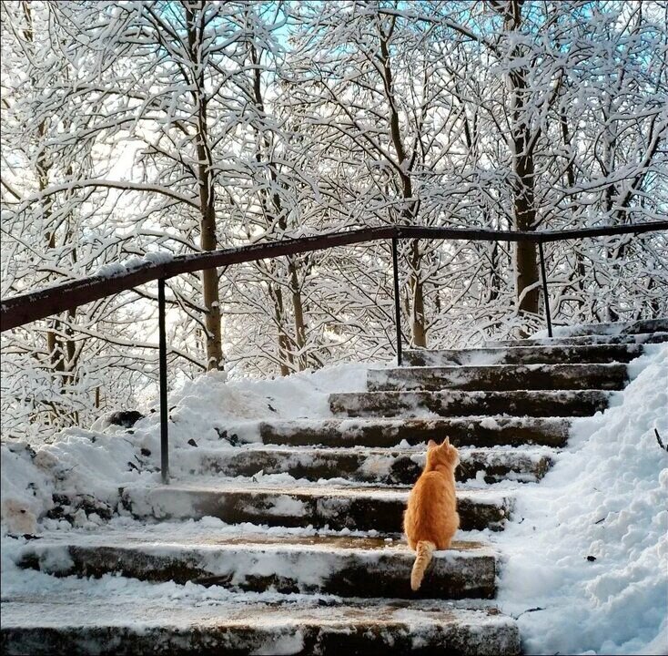 Источник: Яндекс картинки