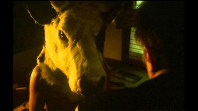 Фото с соц. сетей