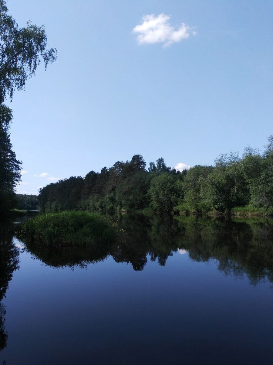 Тёмные воды реки Колпь (фото автора)