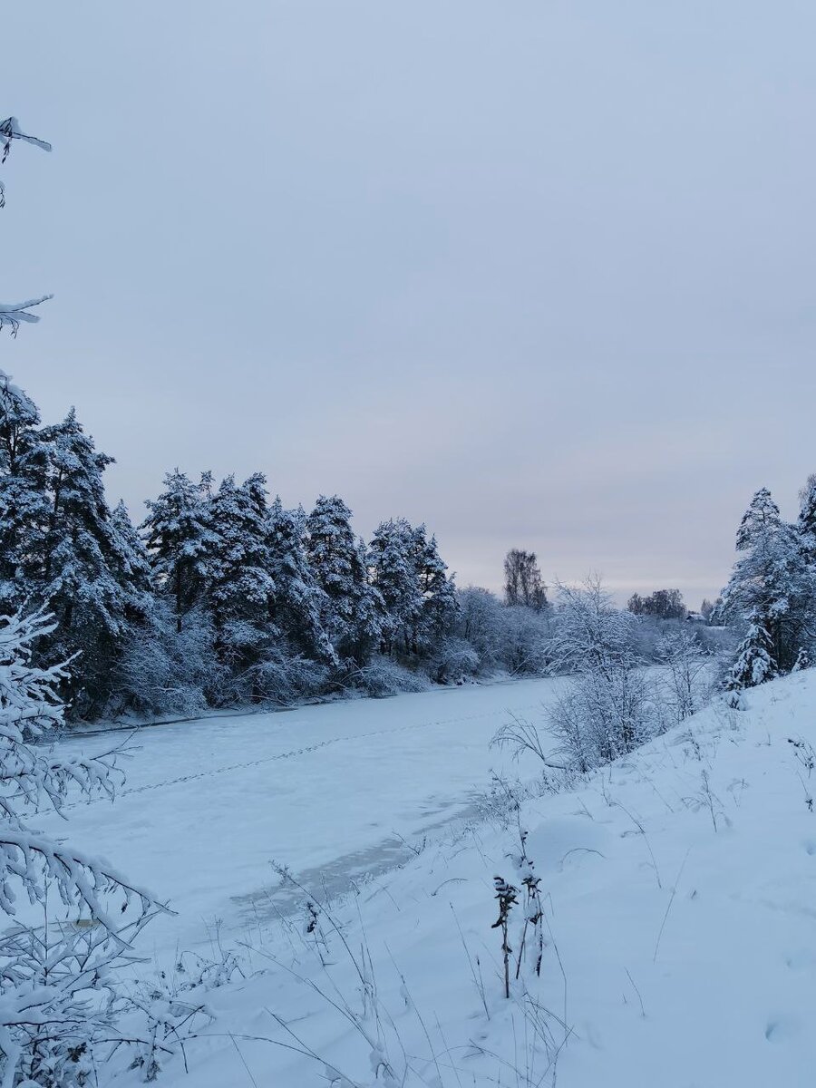 Река Колпь зимой (фото автора)