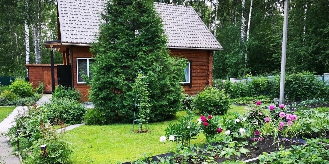 Дача, земельный участок. Что такое межевание, регистрация права. Оформление земельных участков в собственность продлено до 2031 года