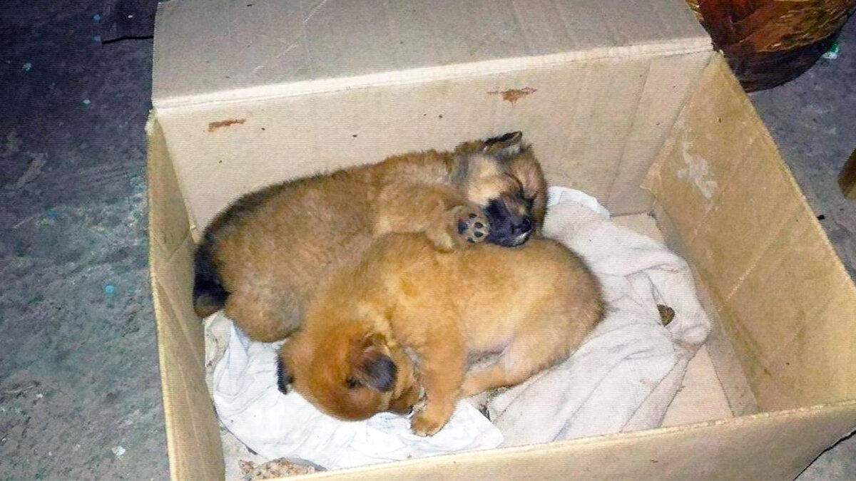 источник фото: cs7.pikabu.ru