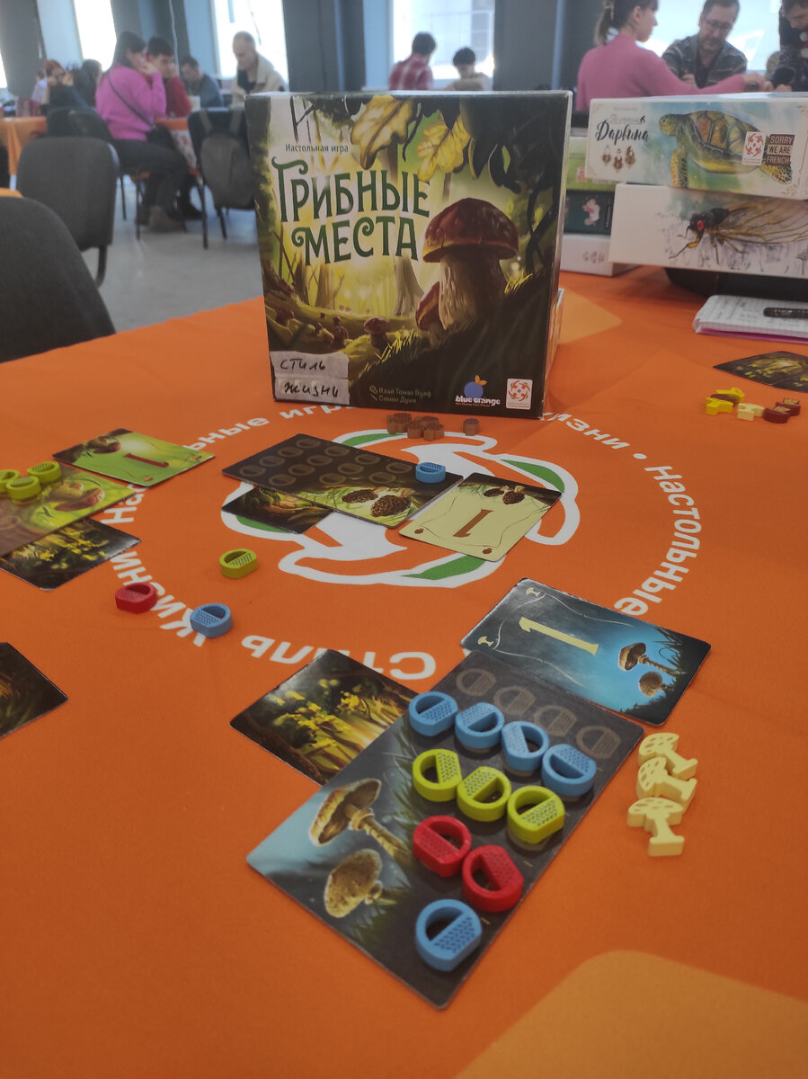 Начали мы с шикарной (спойлер) игры от СТИЛЯ ЖИЗНИ Венецианской мозаики. Наше фото с ней засветили удетна всех новостных пабликах фестиваля😁 Игра гонка, игра пойнт-салат.-9