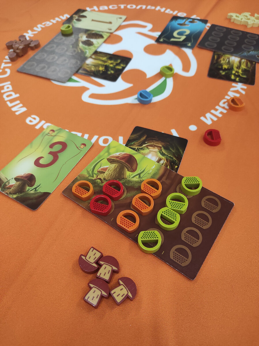 Начали мы с шикарной (спойлер) игры от СТИЛЯ ЖИЗНИ Венецианской мозаики. Наше фото с ней засветили удетна всех новостных пабликах фестиваля😁 Игра гонка, игра пойнт-салат.-10