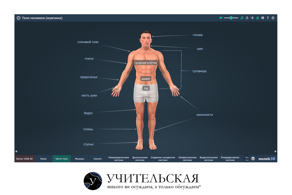 Как учитель биологии 3D-технологии осваивал | Учительская | Дзен