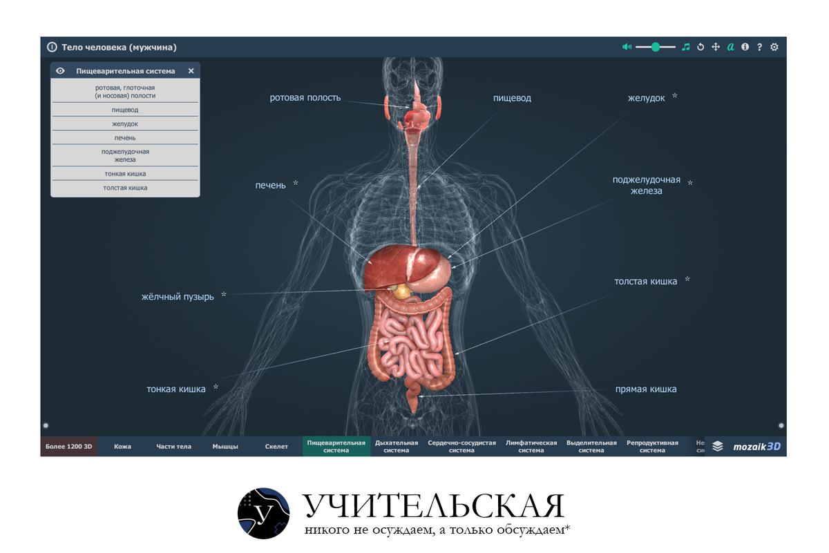 Как учитель биологии 3D-технологии осваивал | Учительская | Дзен