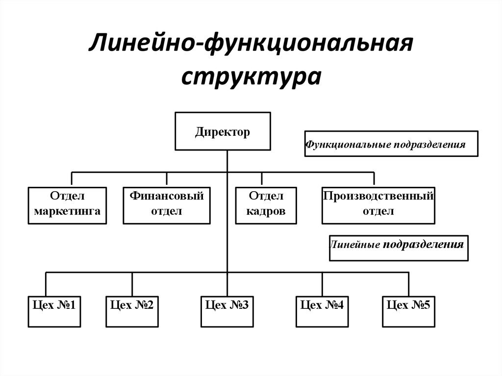 Линейно-функциональная организационная структура схема. Линейно-функциональная структура управления схема. Линейная функциональная структура организации. Линейно-функциональная организационная структура предприятия. Звенья маркетинга